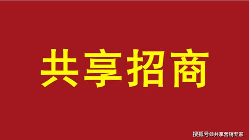 共享招商 賦能未來(lái)的“招商之王”與最佳解決方案